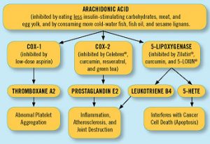 arachidonic-acid