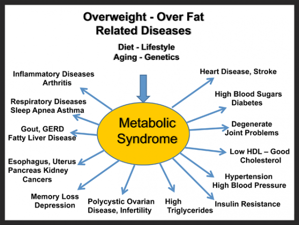 Zero Carb Doc | Knight Errant in the Battle With Diabesity